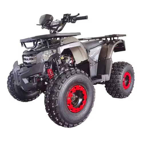Комплект запчастей для сборки детского квадроцикла Wels Thunder АX 125, черный