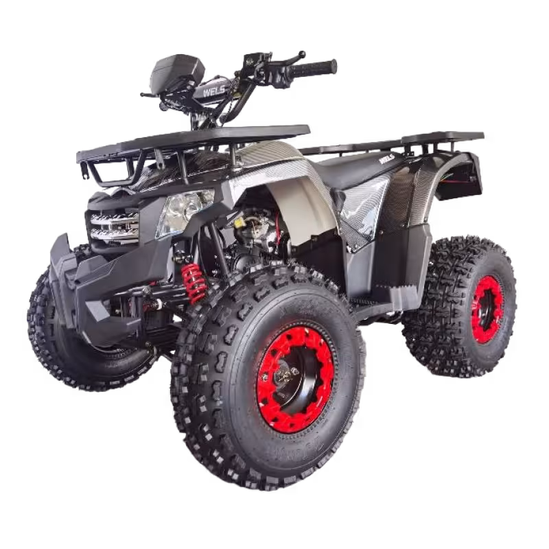 Комплект запчастей для сборки детского квадроцикла Wels Thunder АX 125, черный