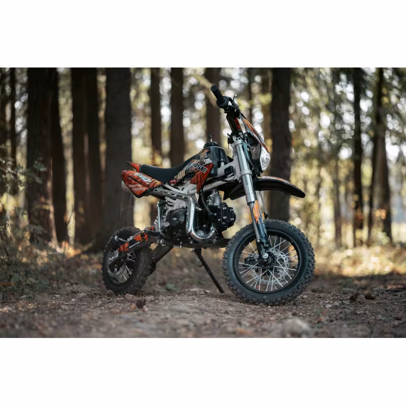 Питбайк детский BSE EVO 110 ЕSА Samurai 12/10