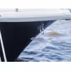 Лодка алюминиевая СПЭВ Phoenix 530HT