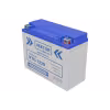 Аккумулятор Vector YTX24HL-BS, 21Ah, 12V