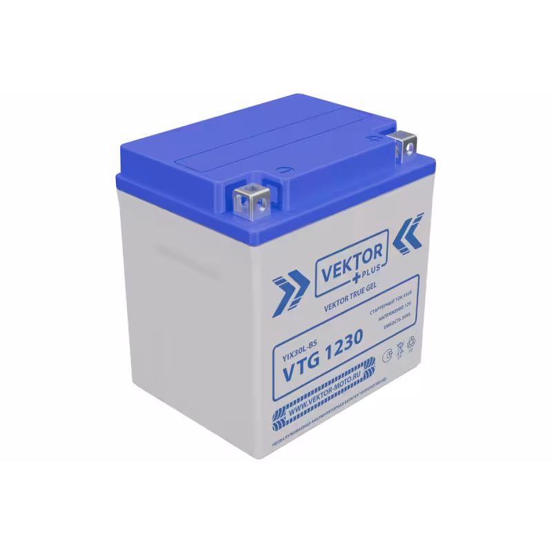Аккумулятор Vector YIX30L-BS, 30Ah, 12V