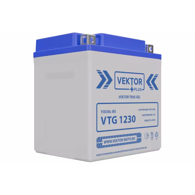 Аккумулятор Vector YIX30L-BS, 30Ah, 12V