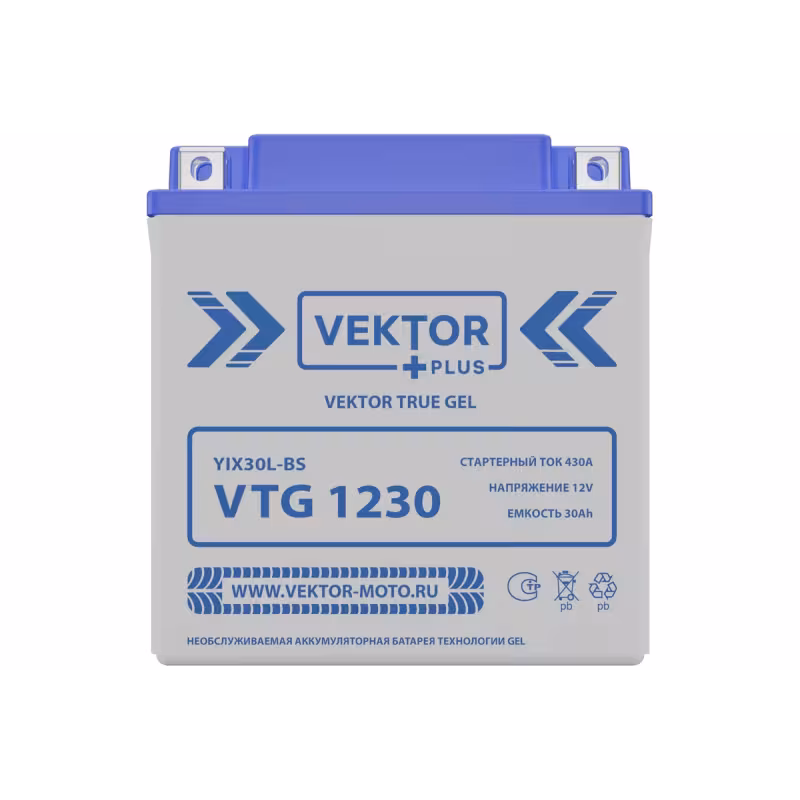 Аккумулятор Vector YIX30L-BS, 30Ah, 12V