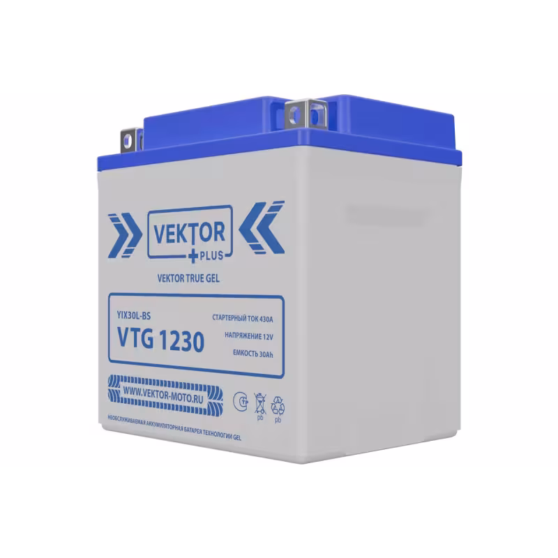 Аккумулятор Vector YIX30L-BS, 30Ah, 12V