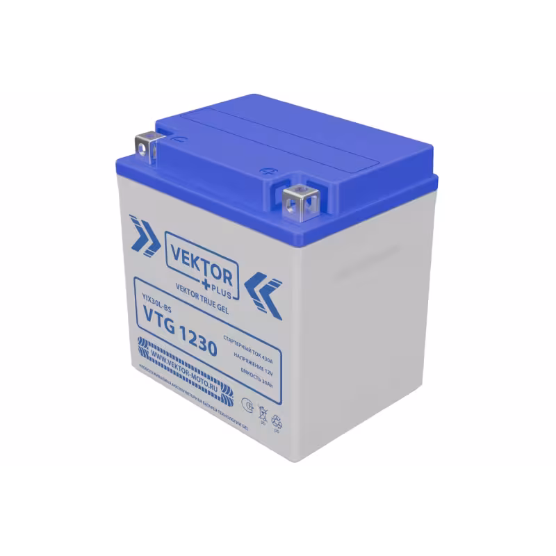 Аккумулятор Vector YIX30L-BS, 30Ah, 12V