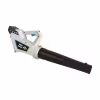 Воздуходувка аккумуляторная DDE BlueTech VBB 5040