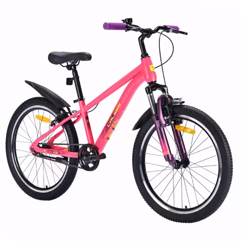 Велосипед Велосипед Tech Team Calibri disc 24", 1 скорость, рост 12, розовый