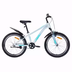 Велосипед Tech Team Calibri disc 24",  1 скорость, рост 12, серебряный