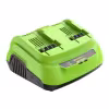Зарядное устройство Greenworks G24X2C8, 24В, 8А