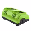 Зарядное устройство Greenworks G24X2C8, 24В, 8А