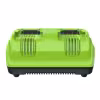 Зарядное устройство Greenworks G24X2C8, 24В, 8А