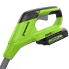 Триммер аккумуляторный Greenworks G24LT251