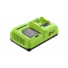 Зарядное устройство Greenworks G24X2C8, 24В, 8А