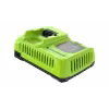 Зарядное устройство Greenworks G24X2C8, 24В, 8А