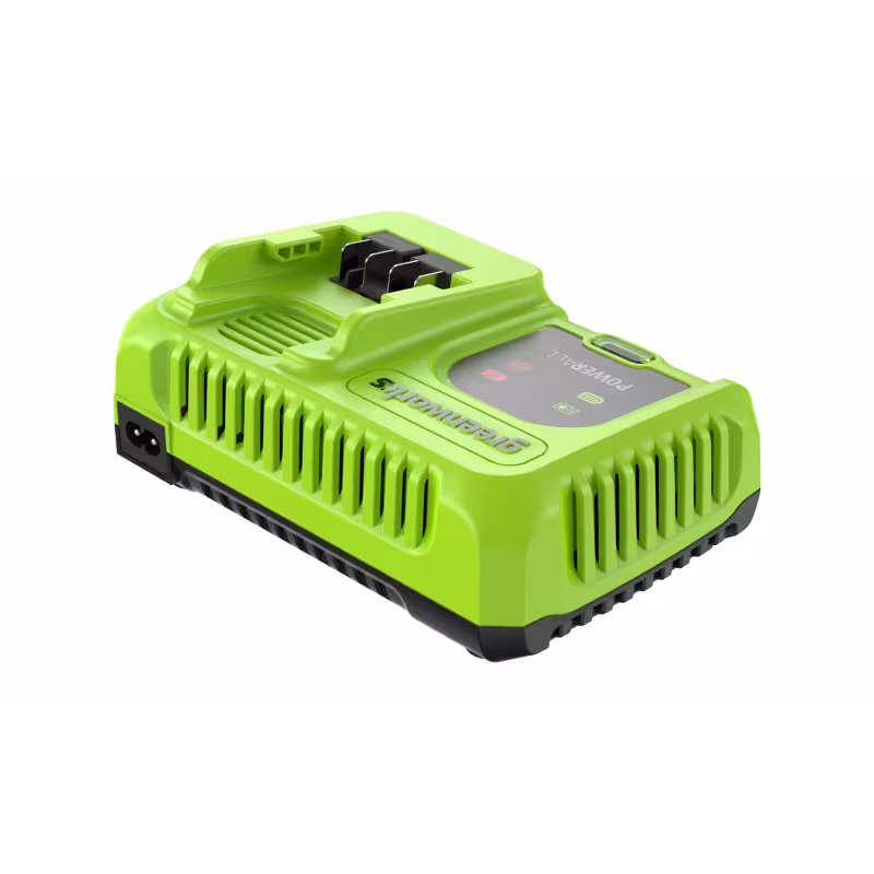 Зарядное устройство Greenworks G24X2C8, 24В, 8А