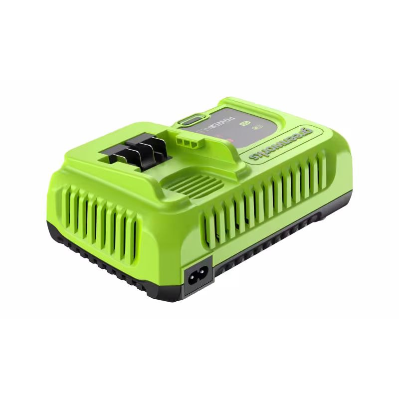 Зарядное устройство Greenworks G24X2C8, 24В, 8А