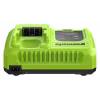 Зарядное устройство Greenworks G24X2C8, 24В, 8А