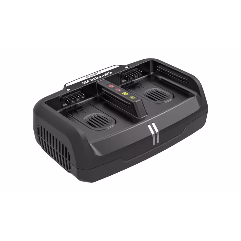 Зарядное устройство Greenworks CHD1300, 80В, 16А