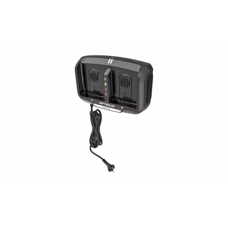 Зарядное устройство Greenworks CHD1300, 80В, 16А