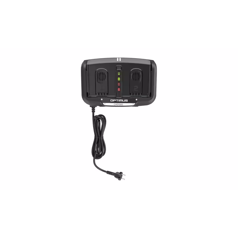 Зарядное устройство Greenworks CHD1300, 80В, 16А
