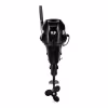 Лодочный мотор 4-тактный Gladiator GF 9.9 PRO HS