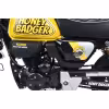 Питбайк Motoland Monkey 150