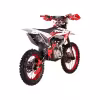 Питбайк Kayo Big-Mini Lux К140EM 19/16