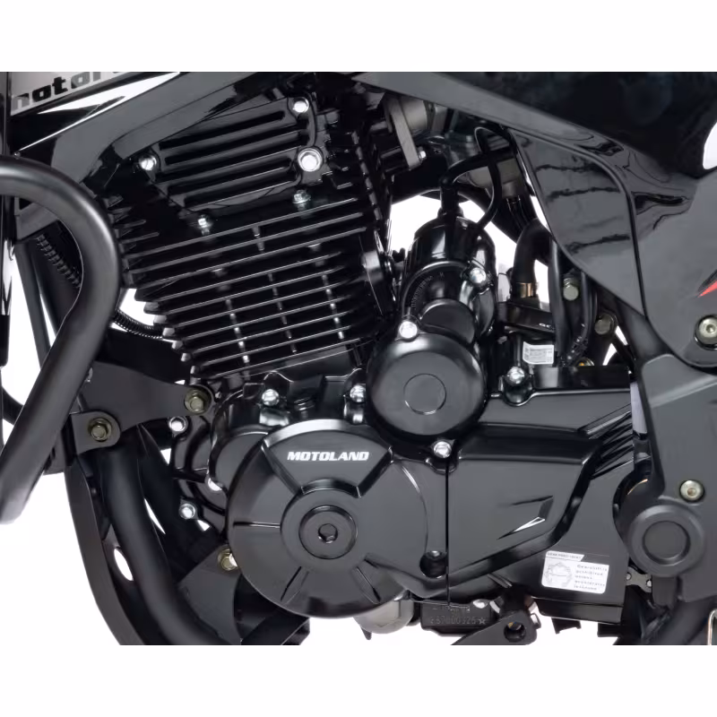 Мотоцикл турэндуро Motoland Enduro Garet 300 19/17, черный