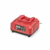 Комплект аккумулятор и зарядное устройство Skil CB5197SE11 (Li-Ion, 20В, 1х2Ач)