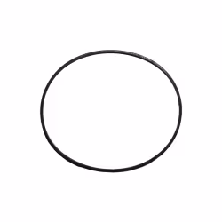 Кольцо уплотнительное коллектора на снегоход Буран 110500996