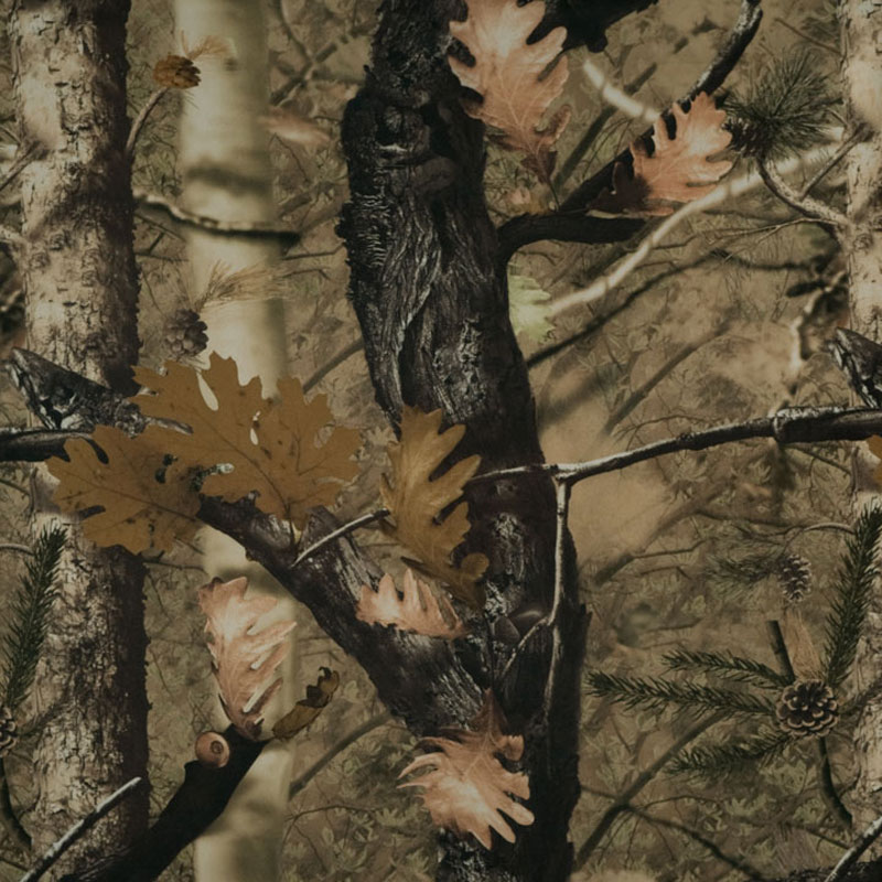 Костюм мужской Hiter Хантер, ткань Виндблок, принт Осенний лес, размер 44-46