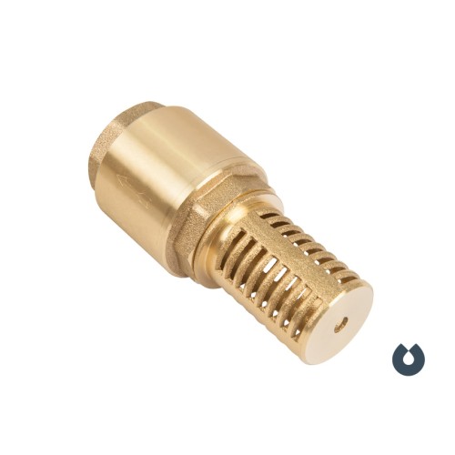 Обратный клапан UNIPUMP внутр.1 с сеткой (сетка-латунь, толкатель-латунь)