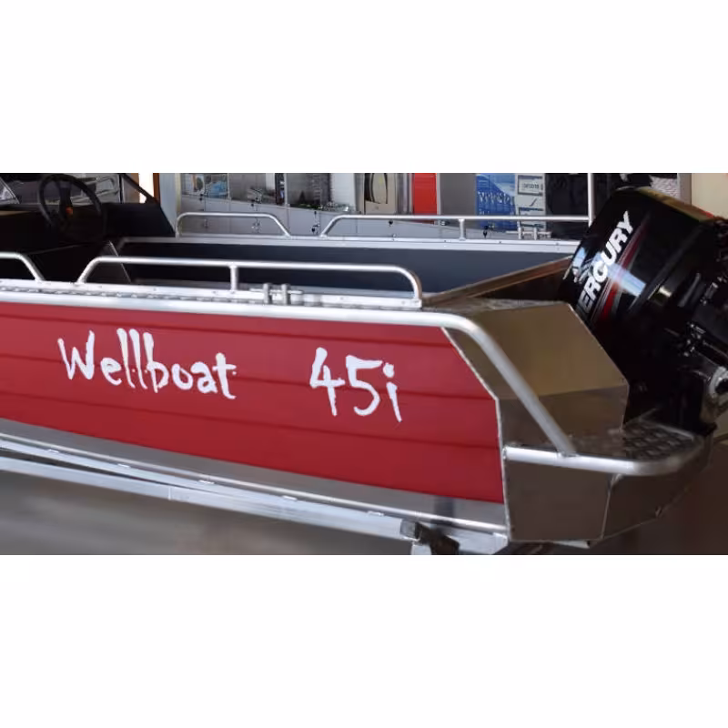 Лодка алюминиевая Wellboat 45 iS