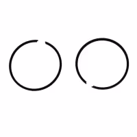 Кольца поршневые Skandic 550 WT SM-090814R, +1 мм