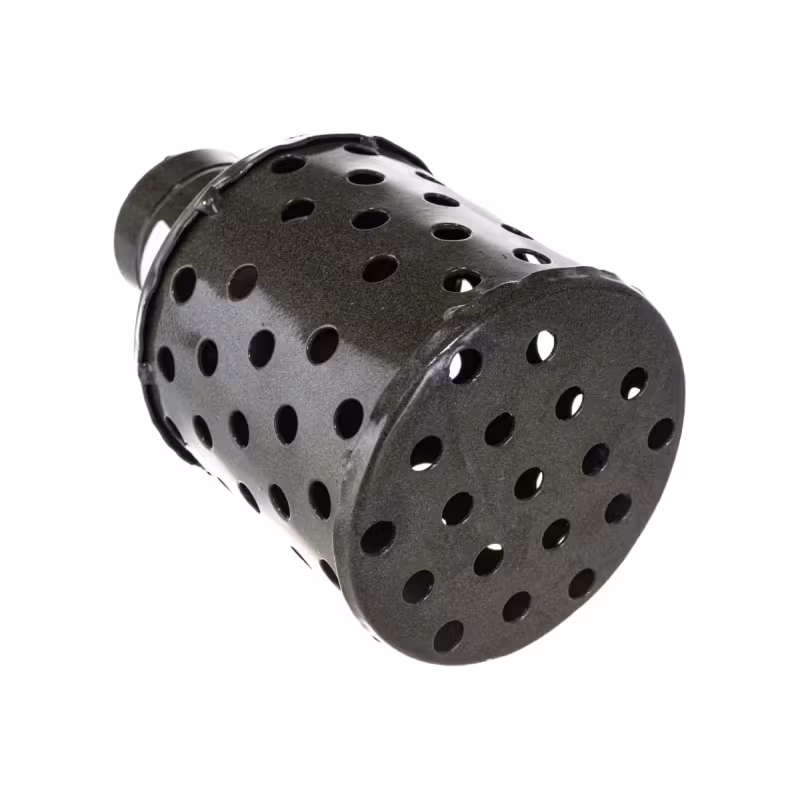 Фильтр всасывающий Champion C2516  2" 