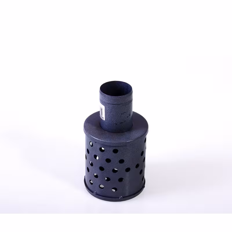 Фильтр всасывающий Champion C2516  2" 