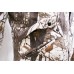 Костюм мужской Hiter Буран, ткань Pro-tex Camo Hipora, принт Дубовый лист, размер 56-58