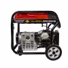 Генератор бензиновый DDE DPG10553E