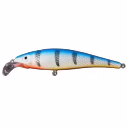 Воблер плавающий Jesse Saddle JE11 07, 110 мм, 14 г, цвет 07