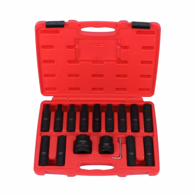 Набор бит для ремонта грузового а/м LICOTA