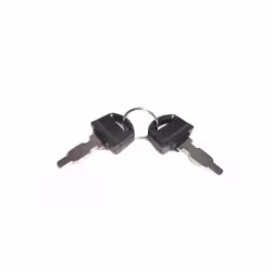 Ключи замка зажигания Lifan для двигателей мощностью 24 л.с.