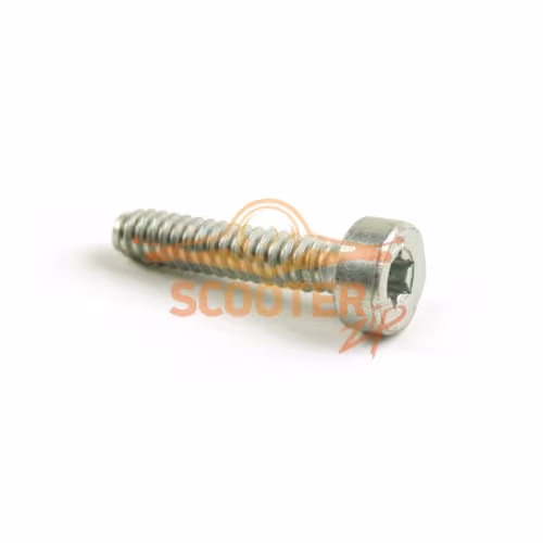 Винт с цилиндрической головкой STIHL IS-D5x24 крепления поддона (MS180)