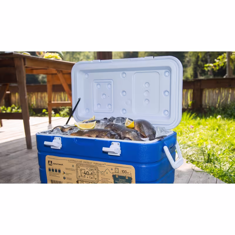 Термоконтейнер Арктика 2000, 80 л, синий/белый