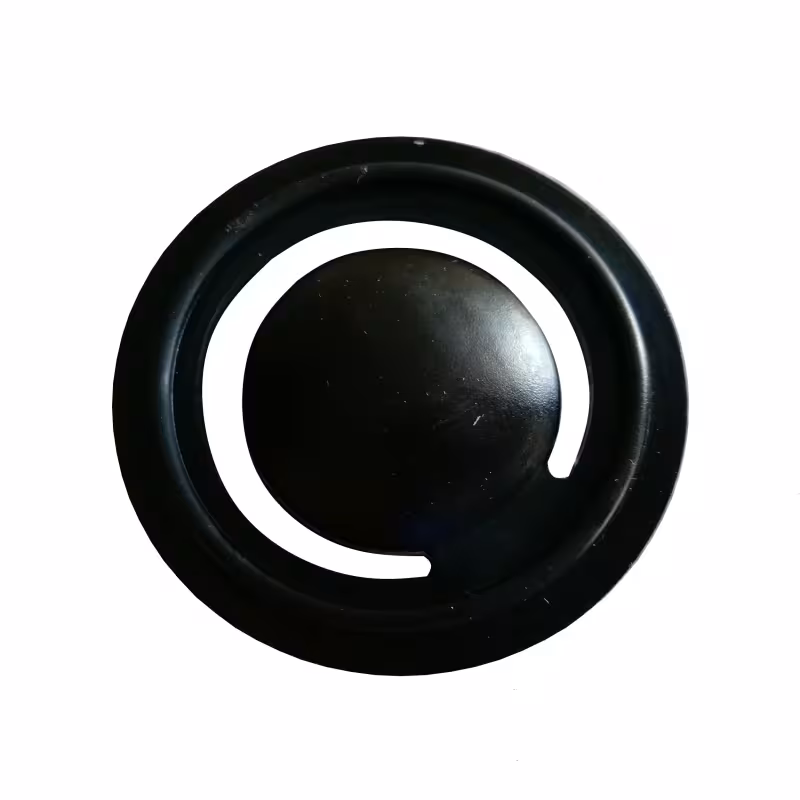 Клапан обратный Champion GTP81