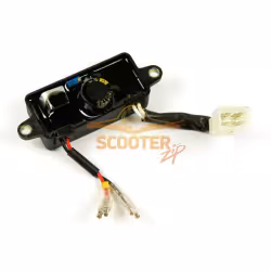 Блок AVR CHAMPION 3.0кВт (GG2700/GG3300/GG3500BS/DG2200) 1 колодка на 4 провода+2 провода