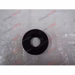 Сальник коленвала ДРУЖБА