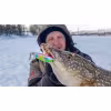 Воблер тонущий Lucky John VIB Soft, 81 мм, 21 г, цвет 140