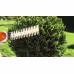 Ножницы для кустов и травы аккумуляторные Stihl HSA 25