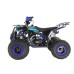 Квадроцикл детский Wels Thunder EVO 125, синий